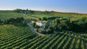 Bodega Boutique Finca Buytrón